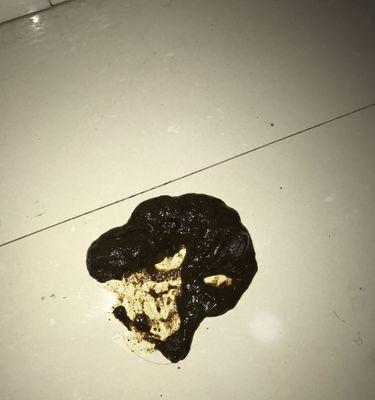 小狗健康便便的关键特征（了解小狗健康状况的重要指标）