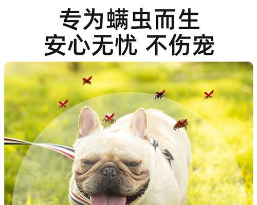 幼犬皮肤病预防全攻略（以药物预防为主的幼犬皮肤病防护措施）