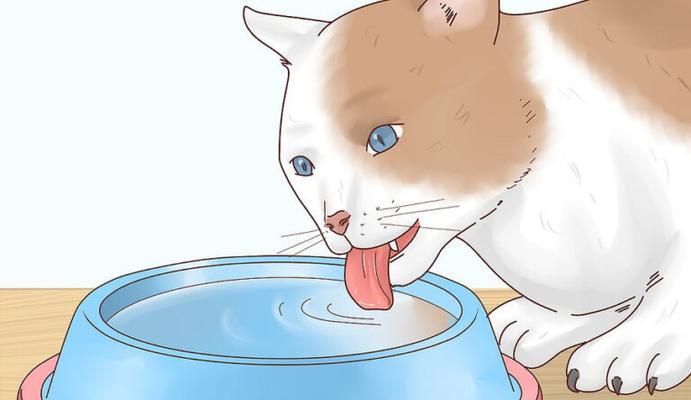 猫咪发烧（家养猫咪、热爱宠物、及时关注）