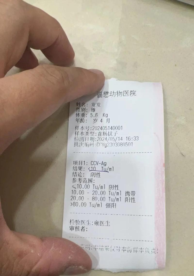 狗肺炎治疗的最佳药物选择（探讨以狗肺炎用药最佳方案，提供有效的治疗方案）