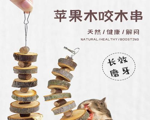 选择什么东西给仓鼠磨牙（仓鼠磨牙的必要性与选择合适物品的方法）
