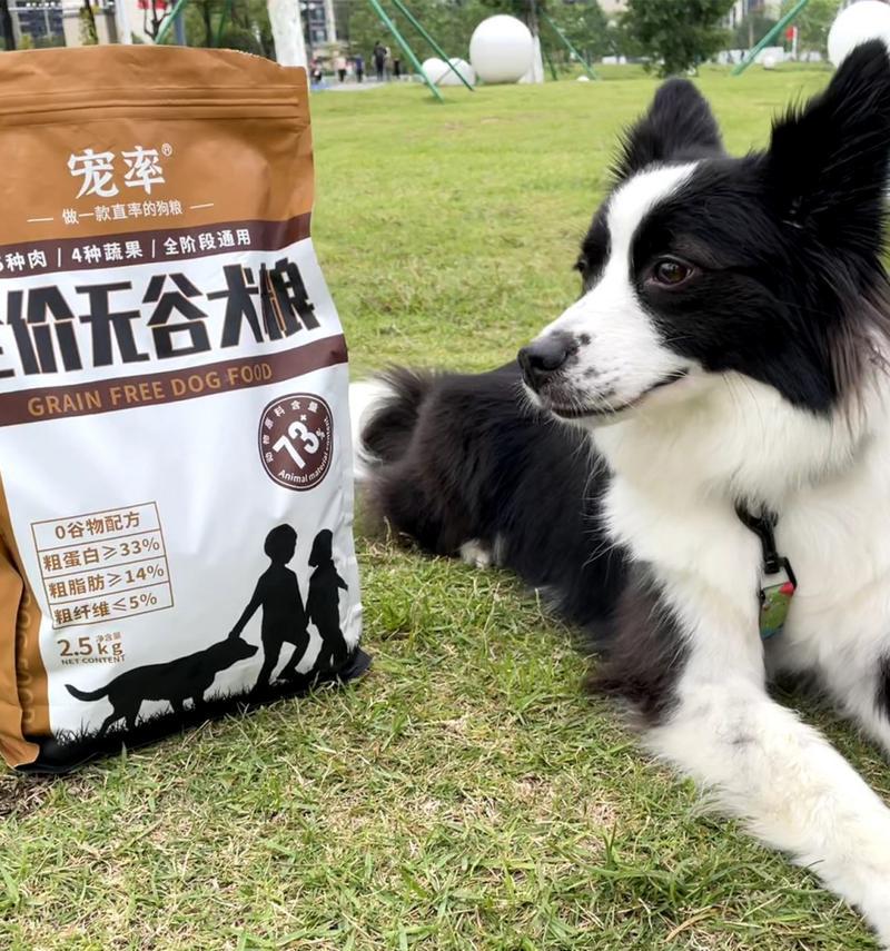 以十块钱能买什么狗？（揭秘价格适宜的狗狗品种与购买渠道）