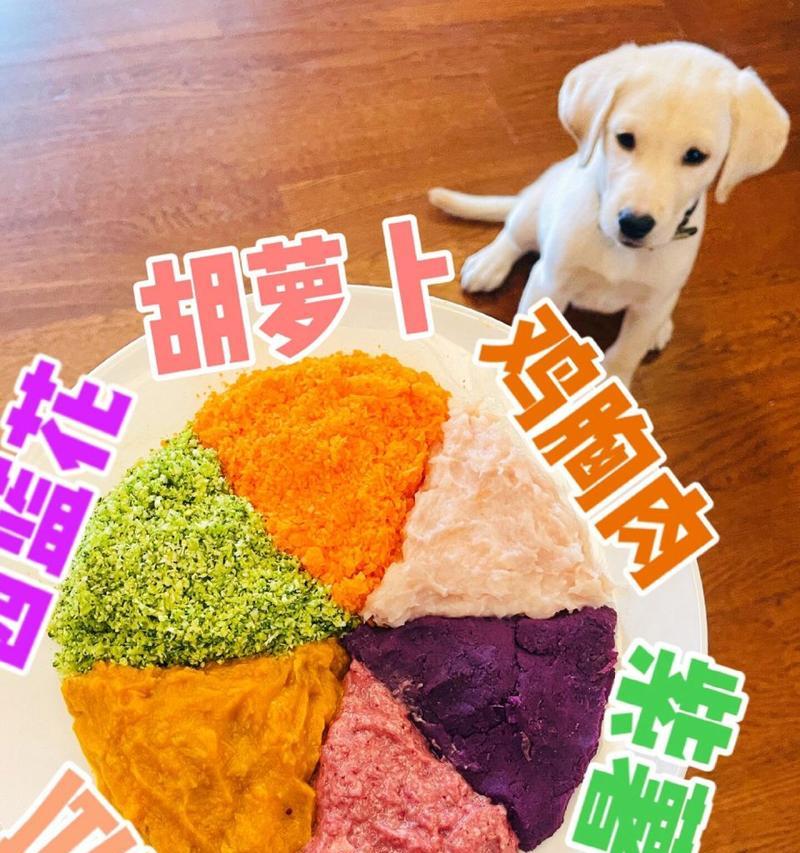 拉布拉多两个月的饮食搭配（以什么为主的饮食更健康？）