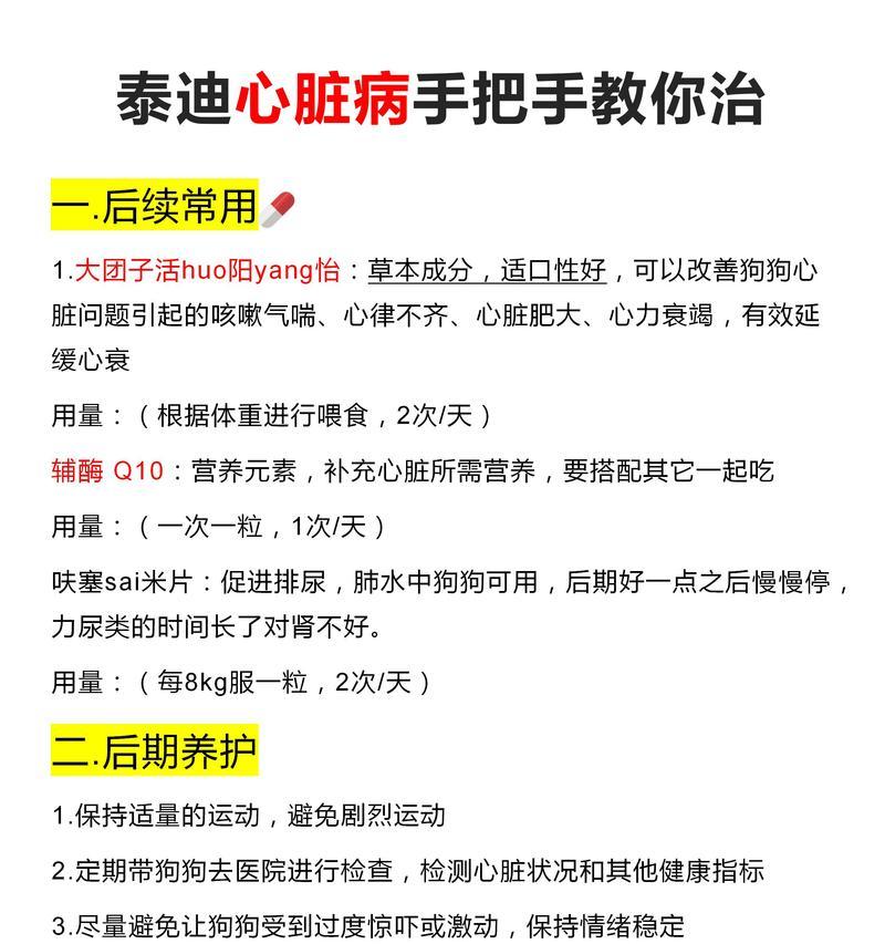 小泰迪的饮食指南（为你的小泰迪提供健康饮食建议）