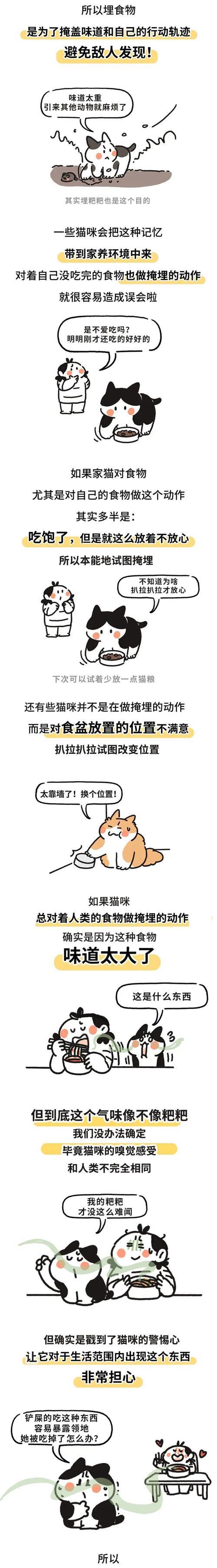 揭秘猫为何总喜欢扒屎？（从生理需求到行为习惯，探索猫咪扒屎背后的奥秘）
