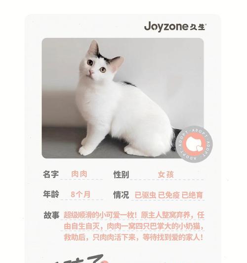 小猫的生育周期与生育时间（探寻小猫成长的奥秘）