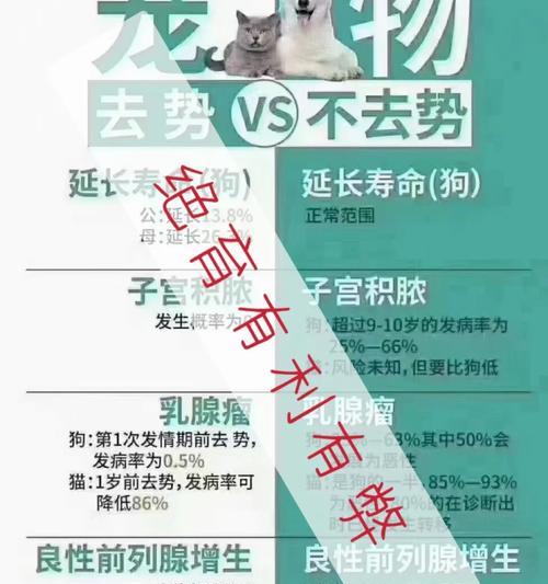 为什么要给狗绝育手术？（探讨绝育手术对狗的益处及相关注意事项）