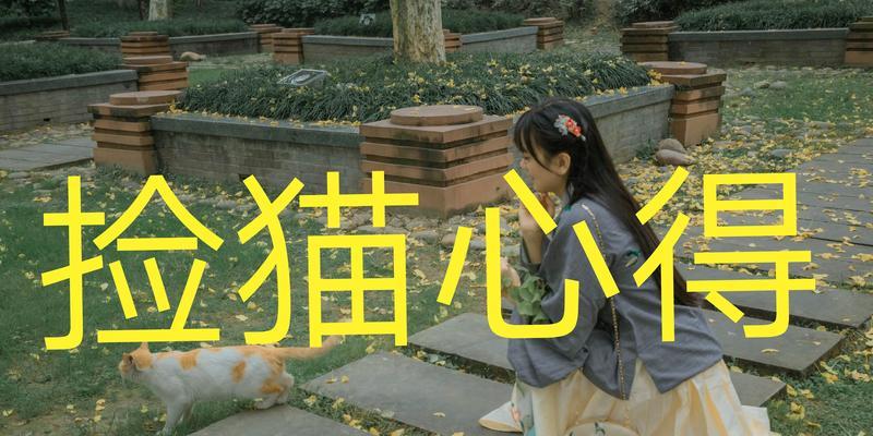 捡到猫的意义及影响（为什么捡到猫是一种有意义的行为）