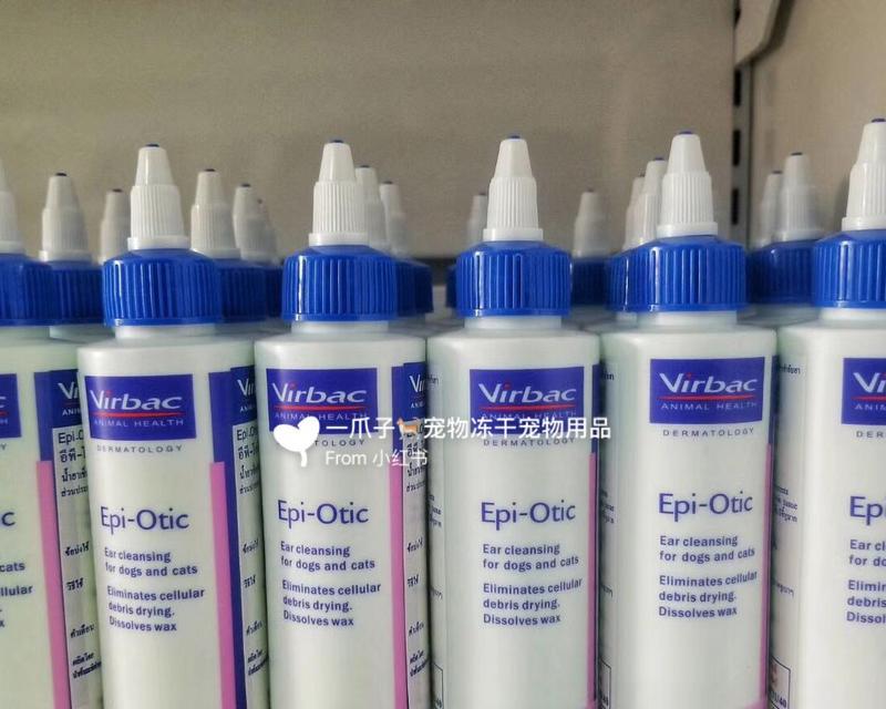 猫咪拉肚子的治疗方法（了解如何正确使用药物来治疗猫咪的腹泻问题）