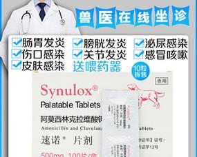 如何选择合适的消炎药治疗狗拉肚子？（了解狗狗拉肚子的常见症状和原因，选择合适的消炎药）