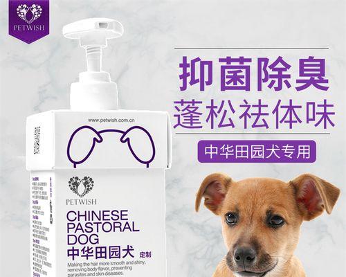 选择适合古牧犬洗澡的香波（如何为古牧犬选择合适的洗澡产品）