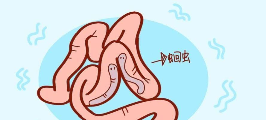 狗狗生完孩子后的驱虫时间表（了解正确的驱虫时间，让狗宝宝健康快乐成长）