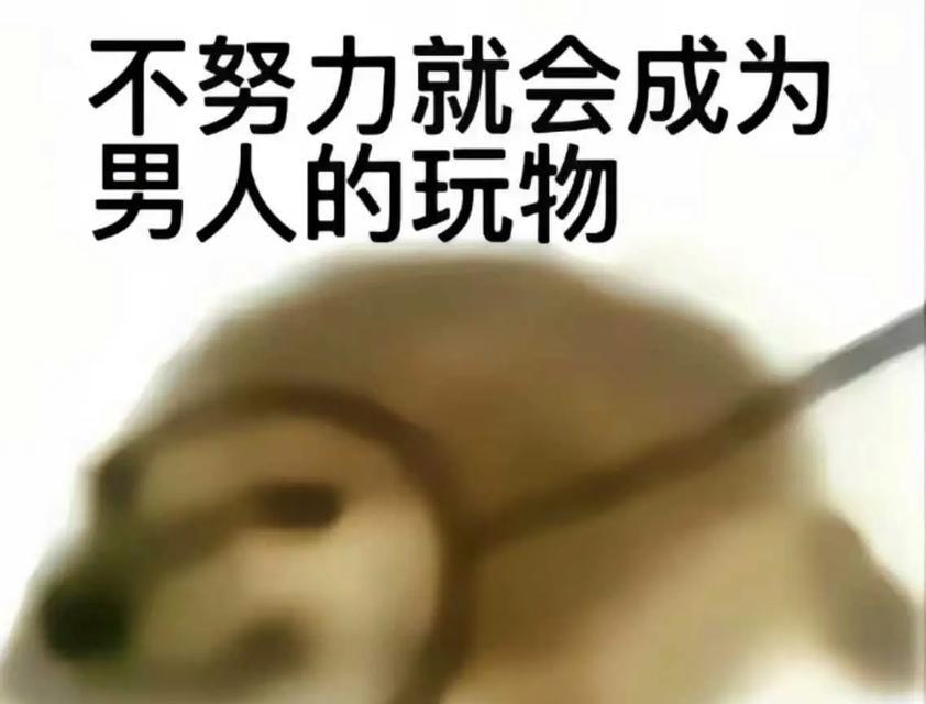 狗可以打通灭的影响（探索狗在灭中的角色和价值）