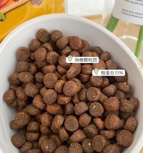 狗粮泡水的正确方法（选择适宜的水源，让爱宠更健康）