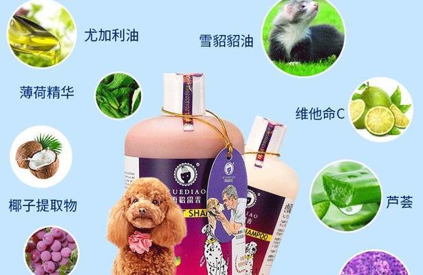 贵宾犬沐浴露选购指南（为宠物狗选择最适合的沐浴露是关键）