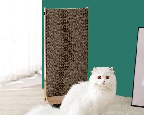 选择适合猫抓板的固定方法（让猫咪享受抓板乐趣的固定技巧）