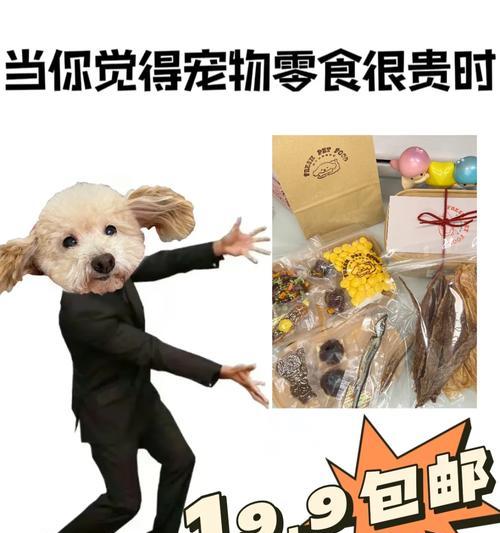 宠物零食的证件需求（为你的爱宠买零食前你需要知道的所有证件信息）