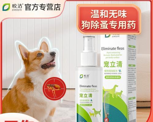 狗身上的虱子（揭秘狗身上的虱子，了解防治措施）