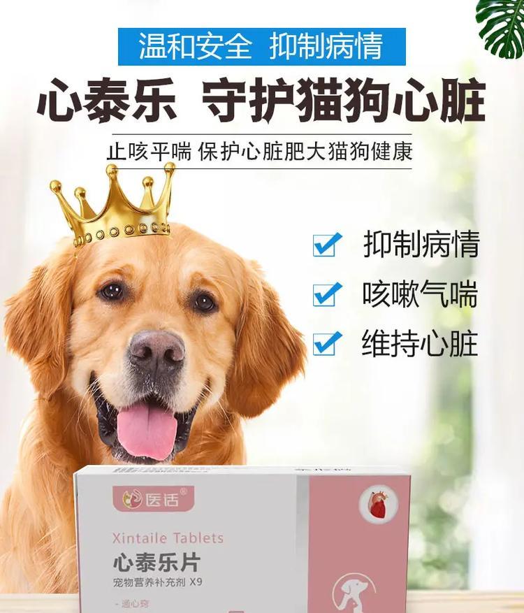 狗抛腹产后的药物护理（选择合适的药物是关键，关注药物安全与有效性）