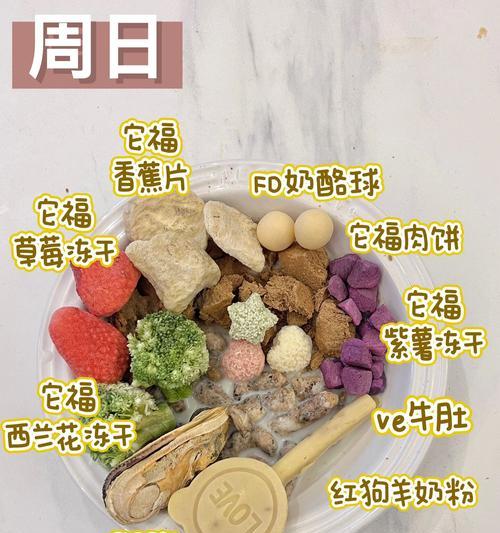 母萨摩耶的饮食要点（关注母萨摩耶的营养需求，给她最佳的饮食）
