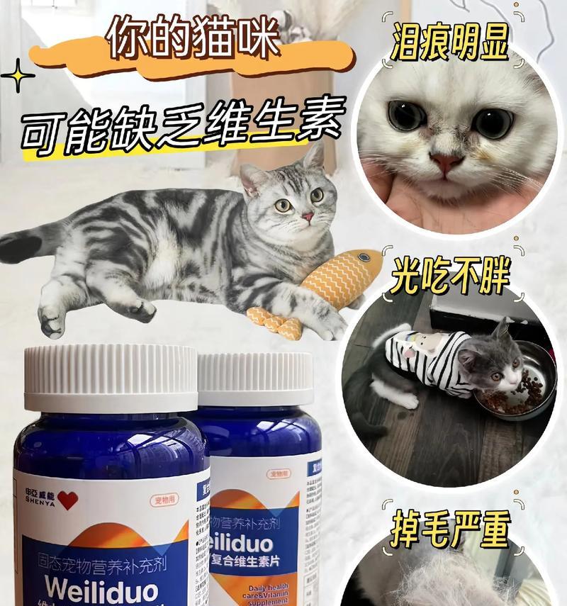 如何预防猫咪脱毛（探讨猫咪脱毛的原因及预防措施）