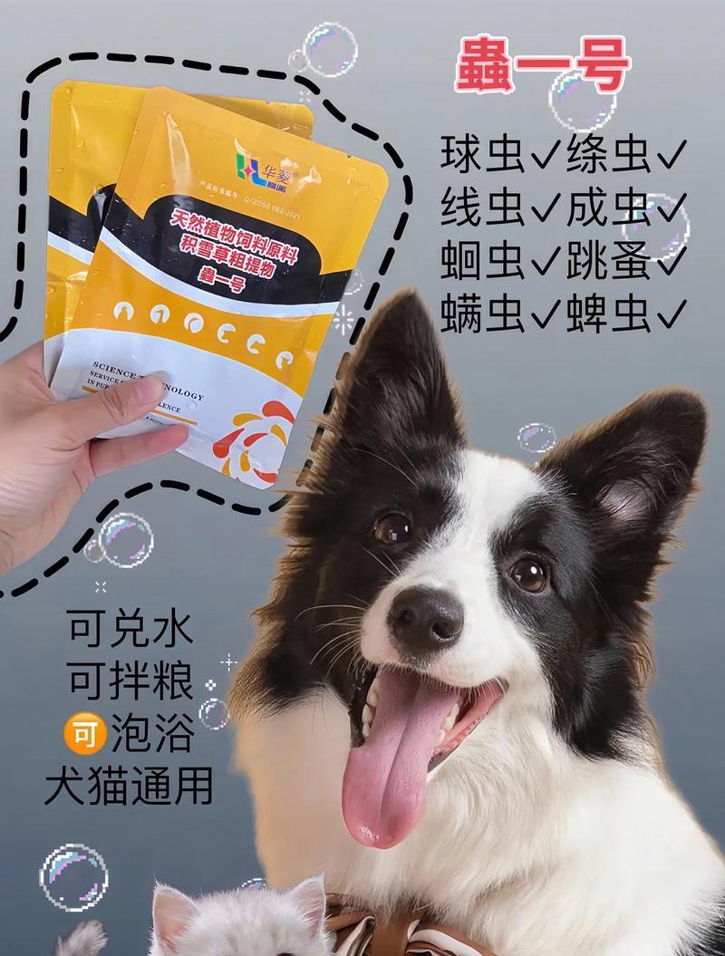 药物如何让狗保持安静（探索安抚狗的药物选择及使用方法）