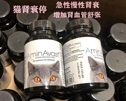 猫肾肿大的原因及预防措施（探究猫肾肿大的病因以及如何保护它们的肾脏健康）