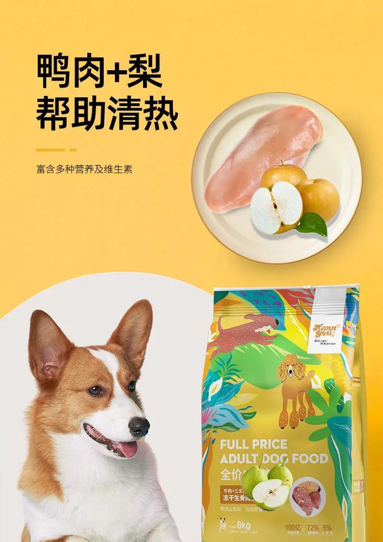 如何正确喂养泰迪狗狗（除了狗粮，还要注意这些关键要点）