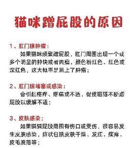 猫为何喜欢到处蹭？（揭开猫咪蹭蹭的神秘面纱）