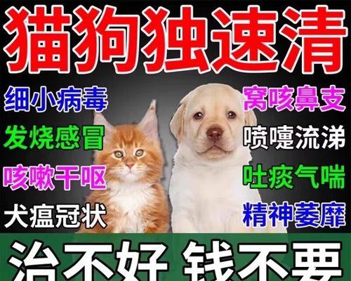 干咳干呕，如何调理？（有效缓解干咳干呕的食物及方法）