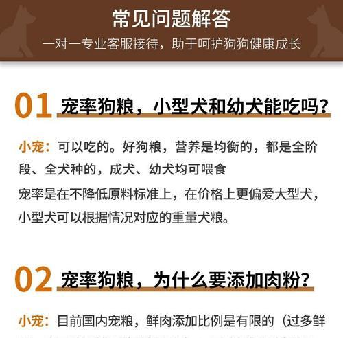 小金毛的科学养护指南