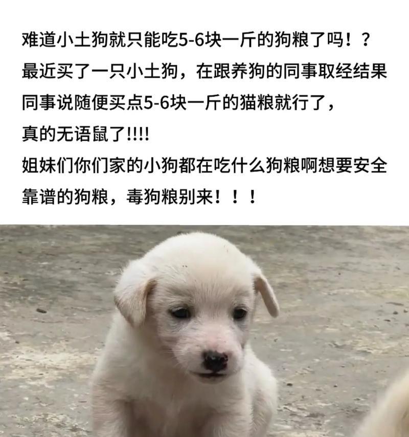 狗狗自制粮（以狗吃什么为主题的自制粮指南，满足你的宠物饮食需求）