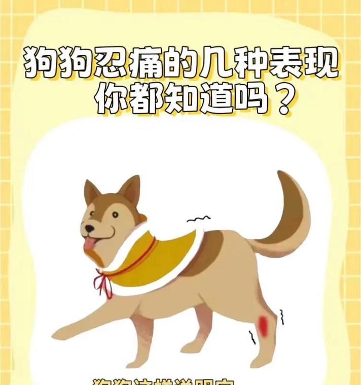 狗狗为什么会大力喘气？（探究狗狗喘气的原因和应对方法）
