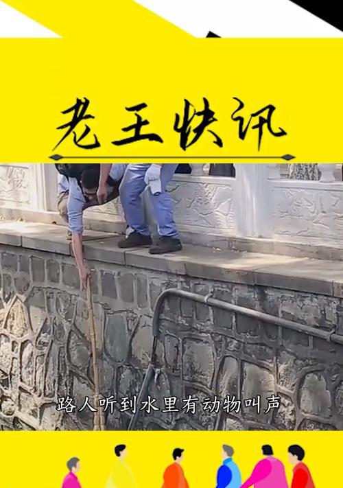 捏猫背为什么会惨叫？（探究猫咪背部敏感区域的原因和反应）