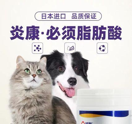 宠物狗过敏怎么办？（了解过敏源，控制症状，创造宠物友好环境）