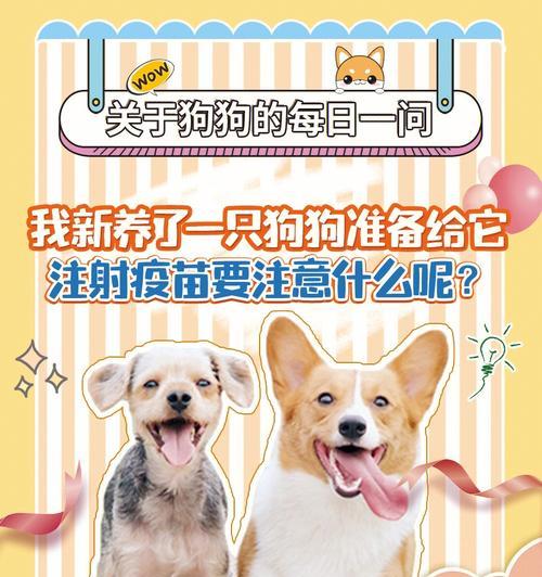 狗狗打了疫苗感冒吃什么药？（疫苗接种后狗狗感冒了，需要注意的事项及药物治疗方法。）