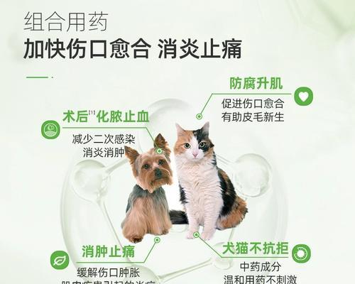 狗狗术后消炎药的选择与注意事项（科学合理的消炎药品可以促进狗狗的术后康复）