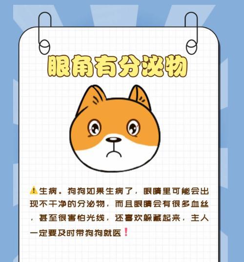 小狗瞳孔散了——原因、表现和处理方法（小狗瞳孔散了，要及时寻找原因并采取措施保护它的健康）