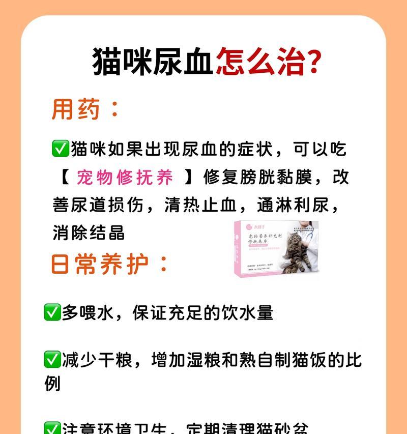 猫猫的月度药物治疗（了解猫猫每月所需的药物，让它健康快乐）
