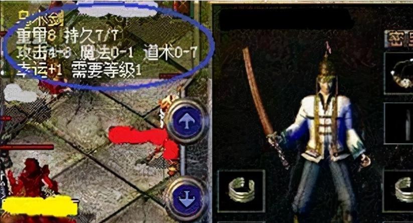 为什么猫的鼻子总是湿湿的？（探究猫鼻湿润的原因及其重要性）