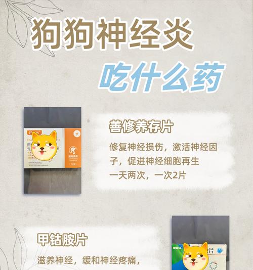小狗腹痛拉稀应该如何处理（药物治疗及注意事项）