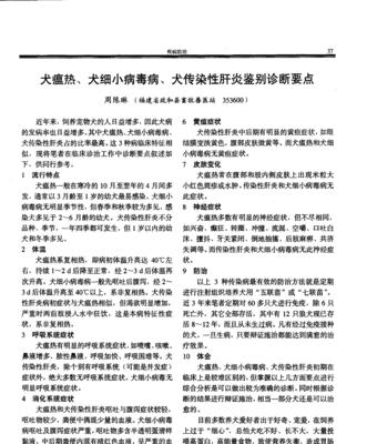 狗狗细小传染（掌握关键信息，保护你的爱犬健康）