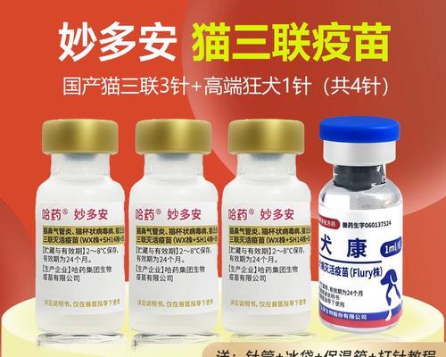 猫与创意之舞（探索三联诗的惊喜世界）