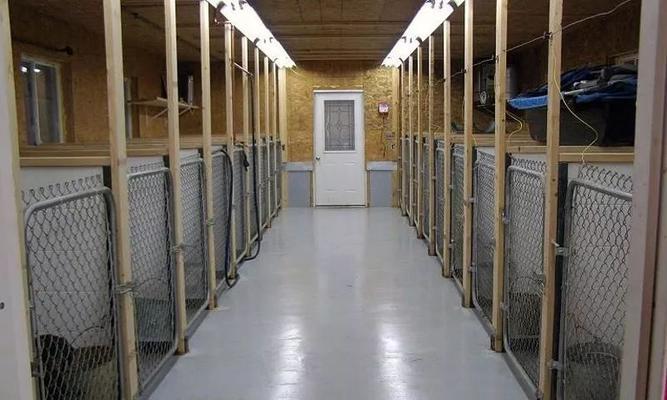 以罗威纳玛索为主题的犬舍（探索罗威纳玛索犬舍的养犬文化与管理模式）