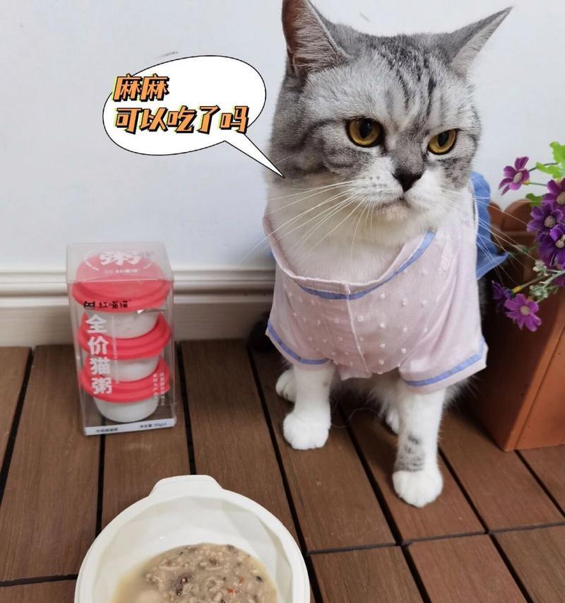 小猫睁开眼睛的第一顿餐（猫咪视觉的开启和适宜的食物选择）