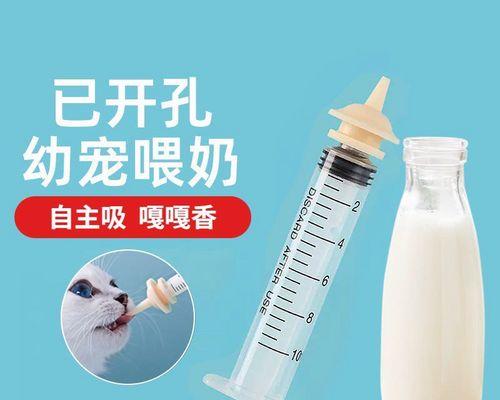 小猫出生后的适宜喂养食物选择（关爱小生命，从合适的食物开始）