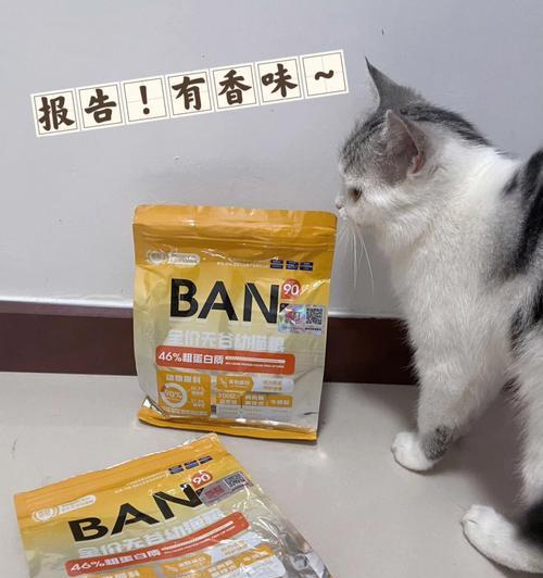 猫咪怀孕期间应该选择哪种猫粮？（为了宝宝和妈咪的健康，选择适宜的猫粮至关重要）