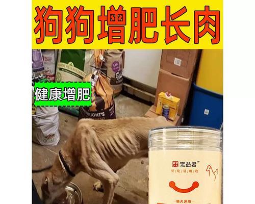 为什么狗能瘦不肥？（探究狗瘦身的原因及调控方法）