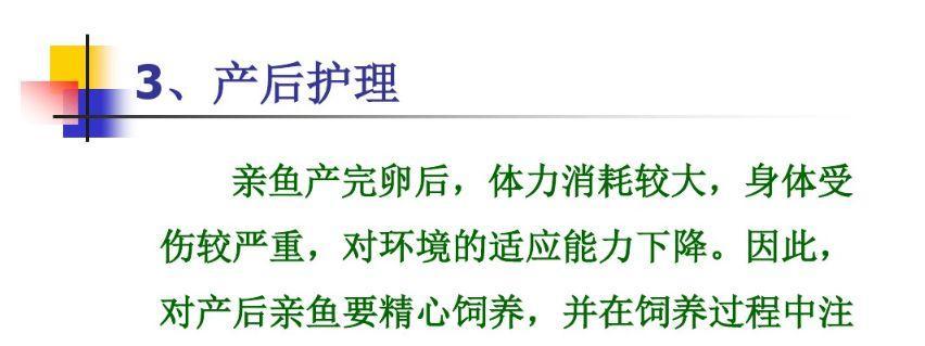 养龙鱼的水质检测与维护（水质检测对养龙鱼的重要性及检测方法）