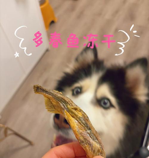 狗的消化系统问题（探讨狗狗食物引发的不适反应及应对方法）